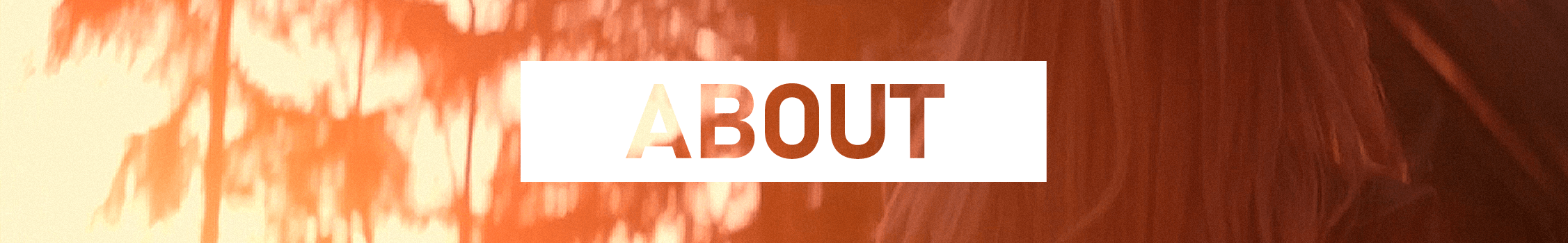 Valeriy Nayden Director of Photography