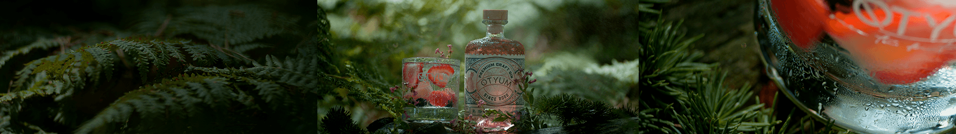 Otyum Gin